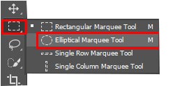 Elliptical Marquee Tool in panel
