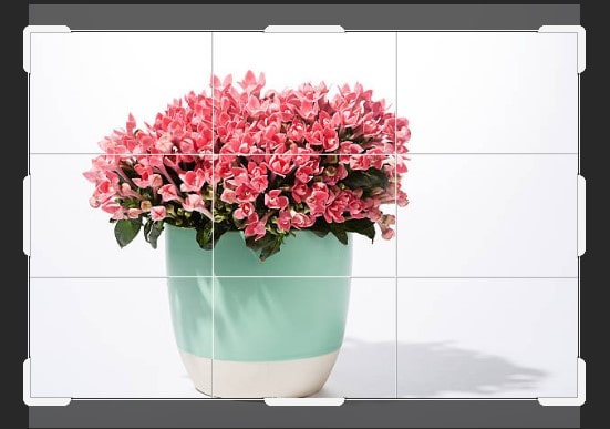 Image cropping using Crop tool