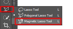 Magnetic Lasso Tool in panel