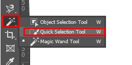 Quick Selection Tool icon