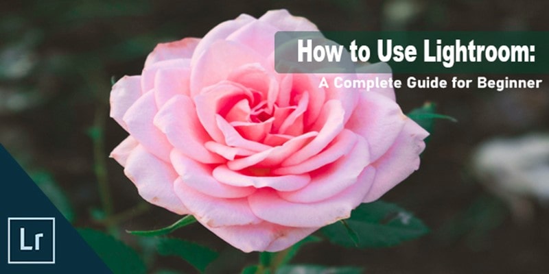 How to Use Lightroom: A Complete Guide for Beginner
