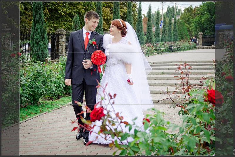 Crop Overlay Using the Crop Tool