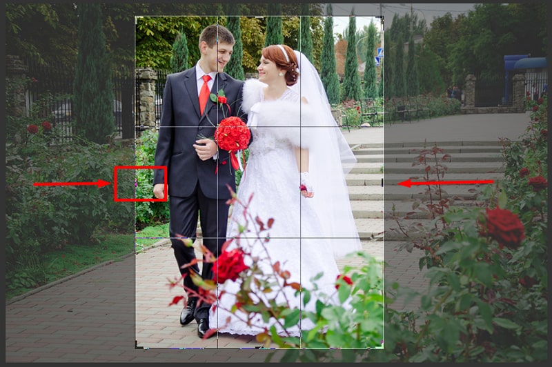 How to Reshape Border of the Crop