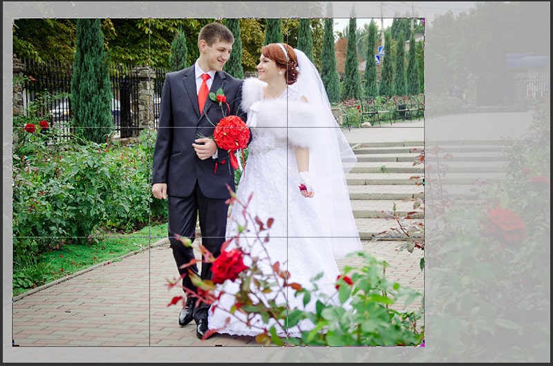 Move Image Inside Crop Border