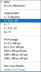 Selecting a Preset Aspect Ratio a
