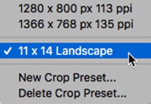Showing Customized Preset Crop