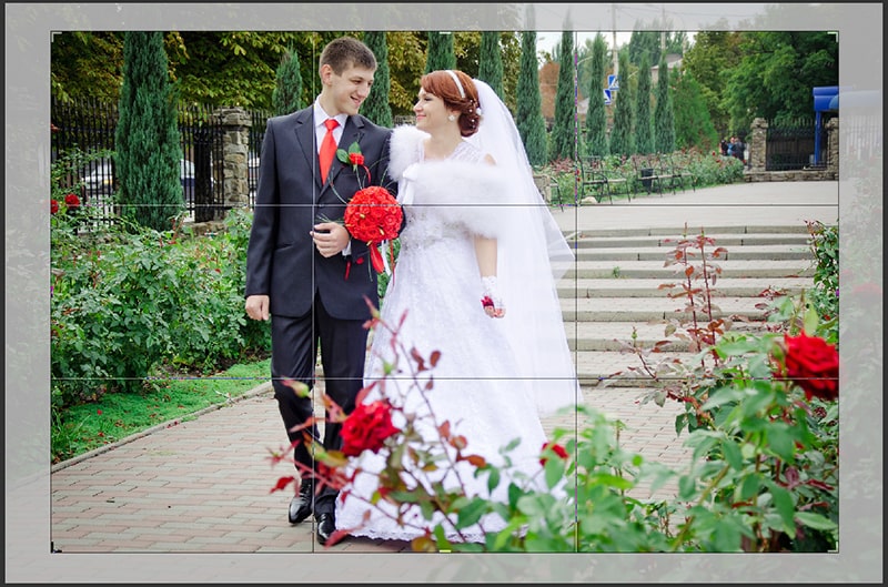 cropping border area