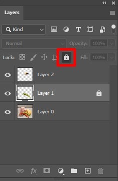 Click on the padlock icon