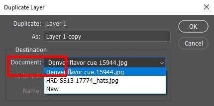 duplicate the image to a specified layer 