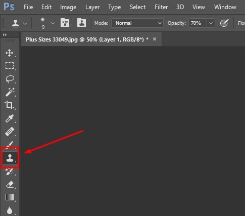 Clone Stamp Tool Selection