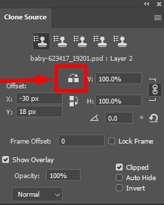 flip-horizontal option