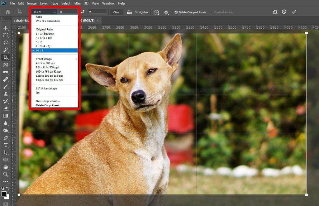 Crop Image for Editing Photos