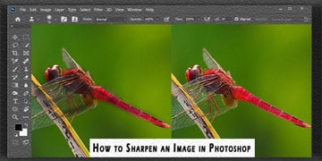 Sharpen an Image in Photoshop