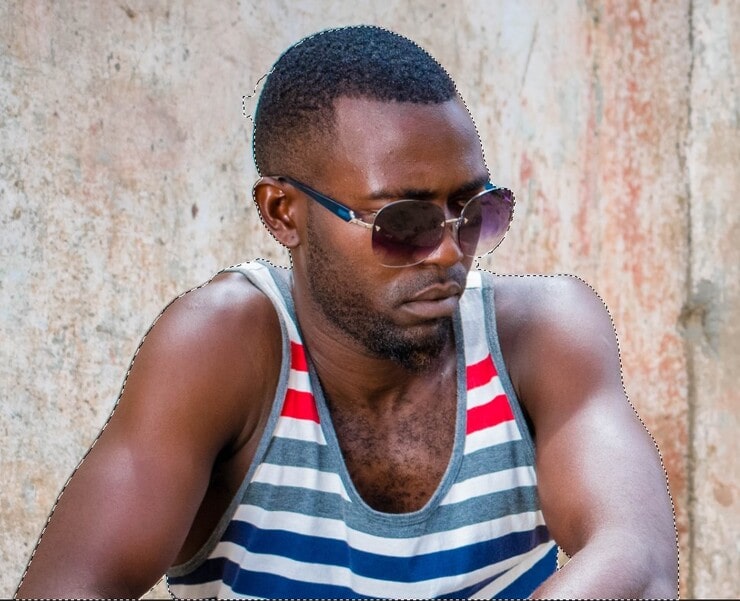 Image to cut out Using a Subject Selection