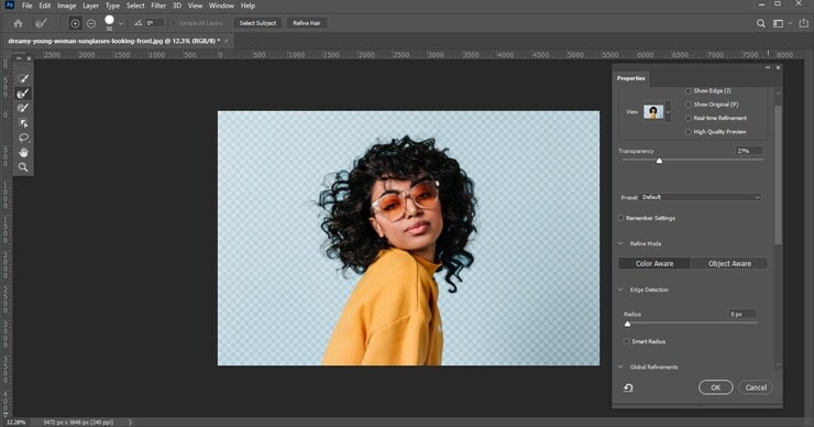Refine The Edges of Selection to Cut Out Photos