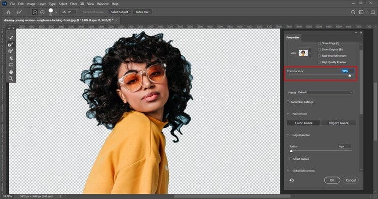 Refine The Hair Edges to Cut Out