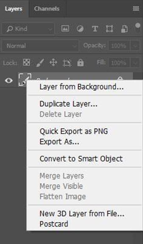 make a duplicate layer