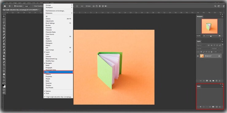 Paths Panel in Photoshop
