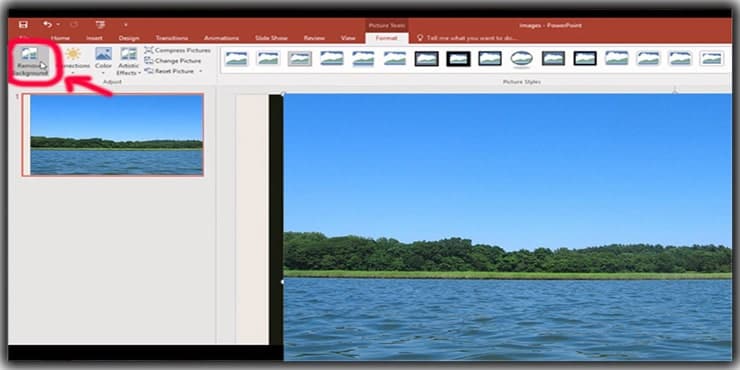 Select Remove Background
