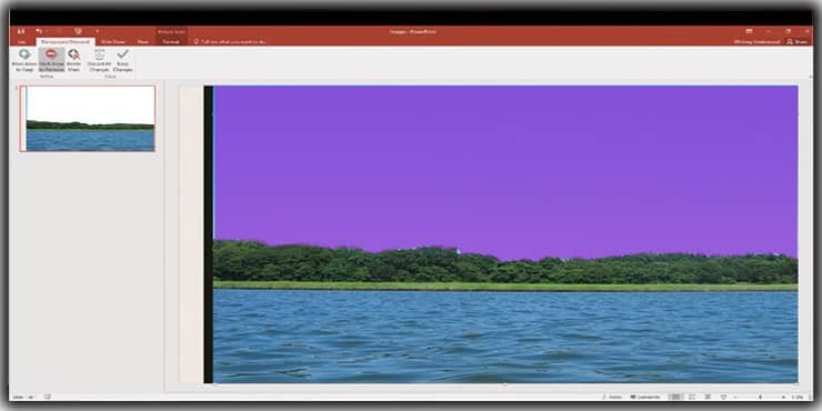 option to remove the background