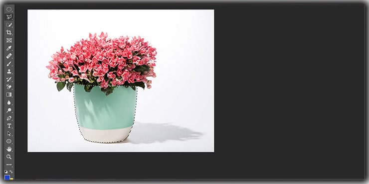 Create Selection by Polygonal Lasso Tool