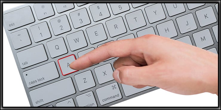 Direct Selection Tool shortcuts
