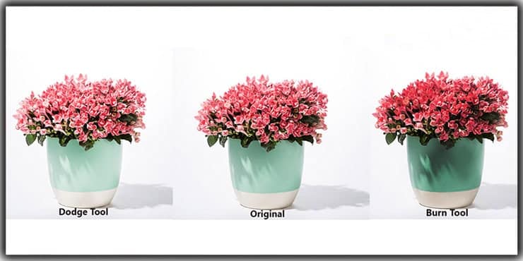 Dodge & Burn Tool Working Example