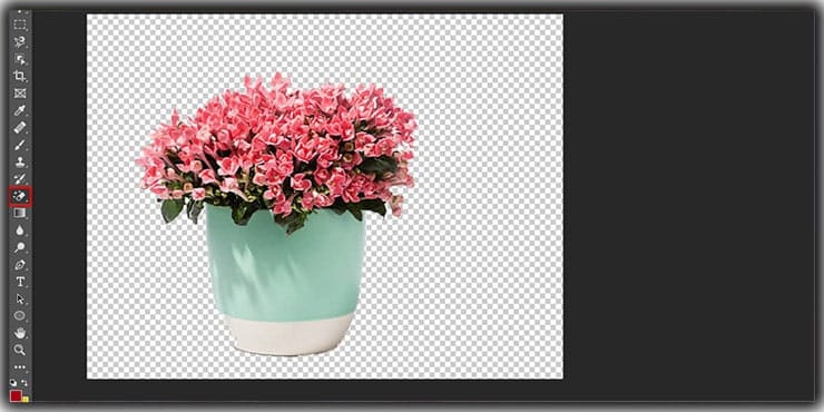 Magic Eraser tool to remove background