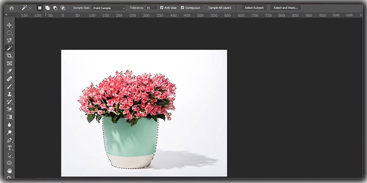 Magic Wand Tool for quick selection