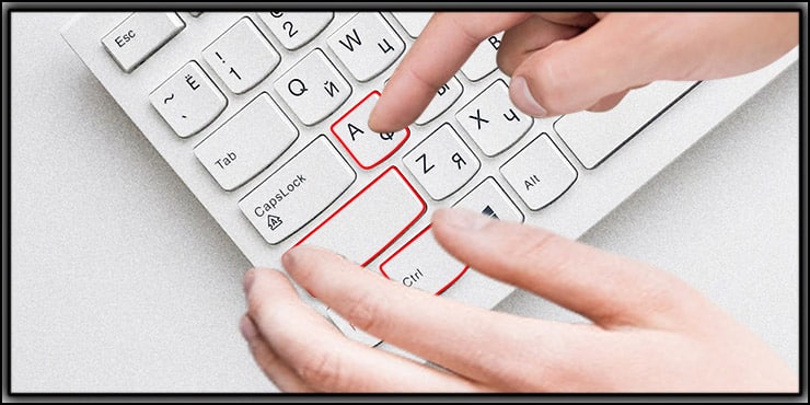 Select All Layer shortcut for Windows