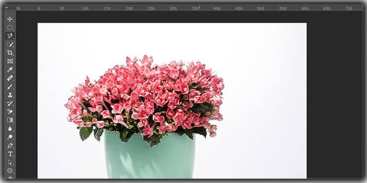 Smooth Selection Using Magnetic Lasso Tool