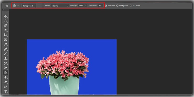 The Paint Bucket Tool works