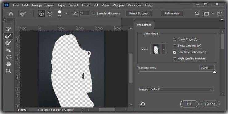 Refine Edges of the hair