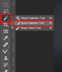use the Quick Selection Tool