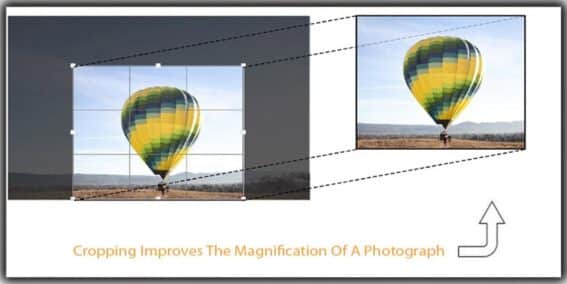 Cropping In Photography - A Beginner's Guide