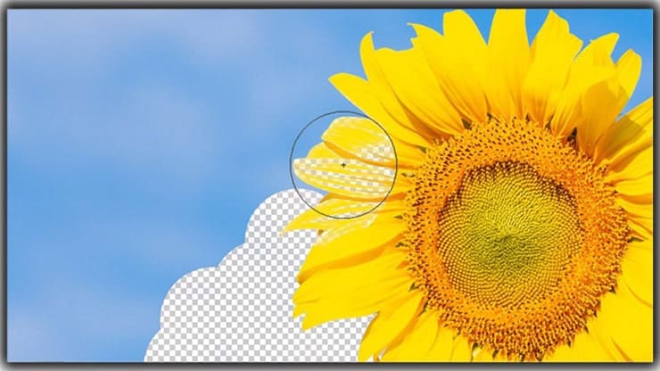 How to Remove Background