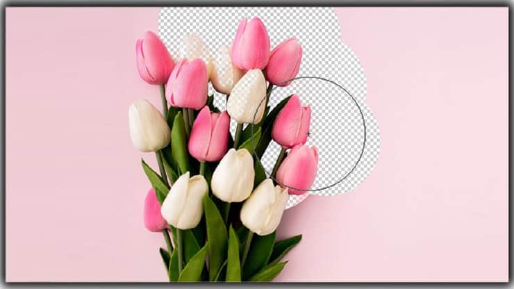 image background remover