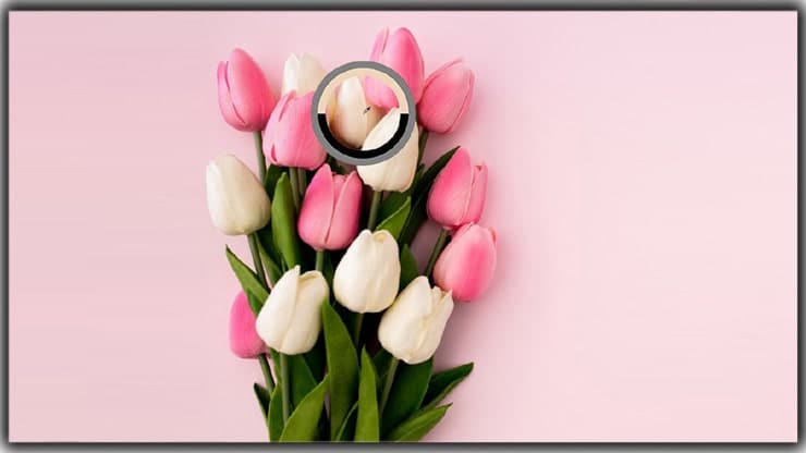 select the sample color with Eyedropper tool