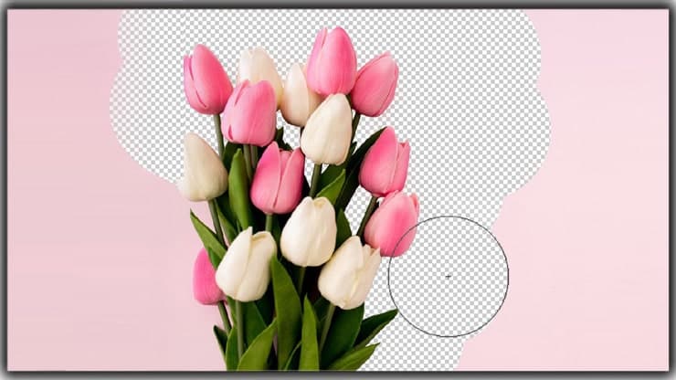 use the Background Eraser