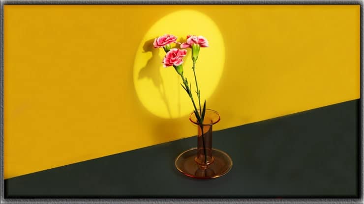 Thinking and planning for still life photography