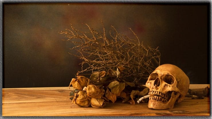 Vanitas Still Life