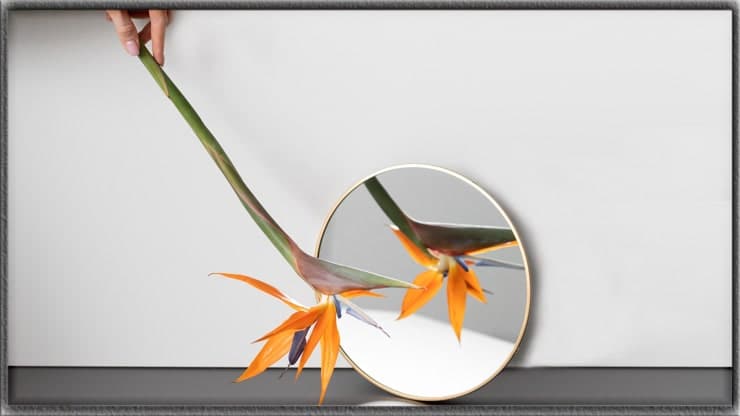 still-life photo shooting