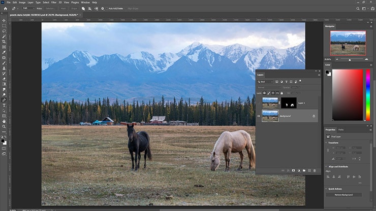 Filling the Background Layer