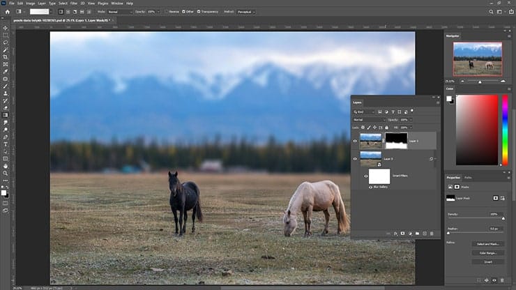 How to Blur Background in Photoshop