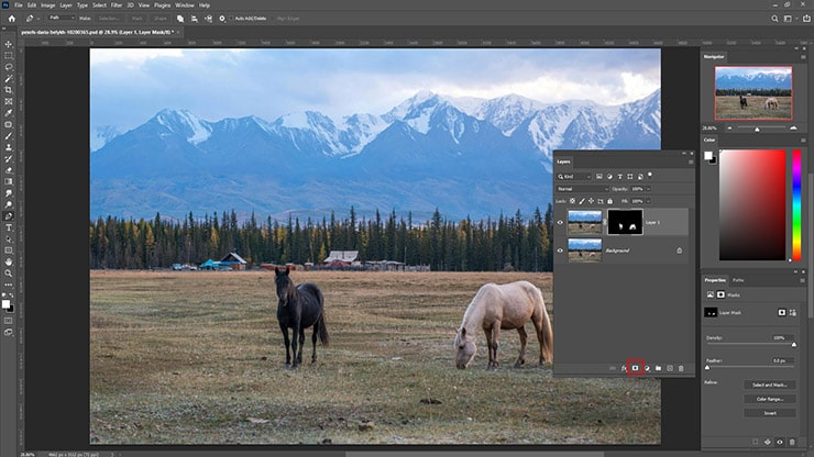 Select the Subject & Mask