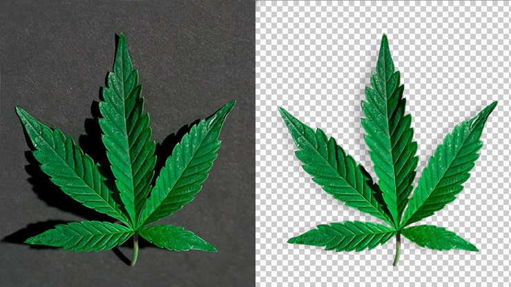 Transparent Background Making