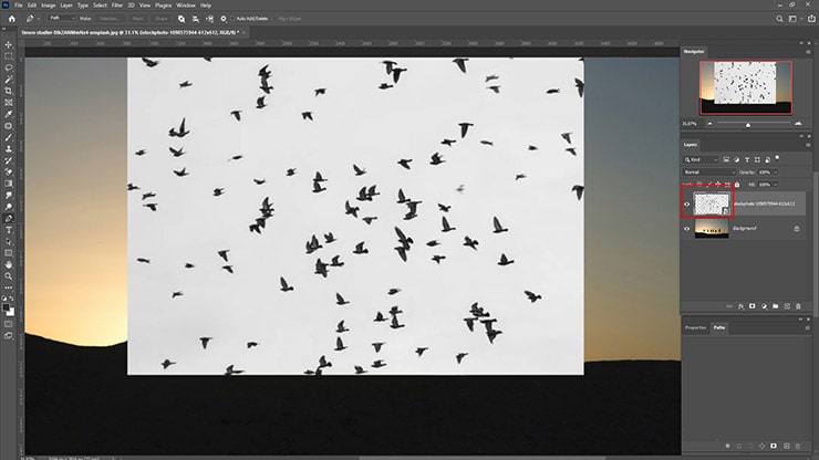 scale the size of the image