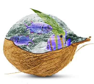 Manipulated in Photoshop Manipulated in Photoshop