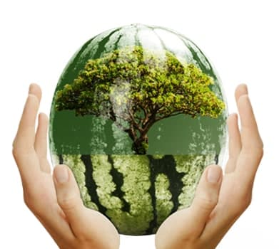 Photoshop Manipulation Photoshop Manipulation